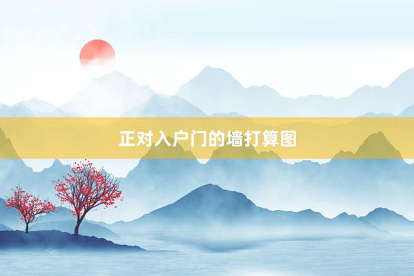正对入户门的墙打算图