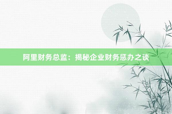 阿里财务总监：揭秘企业财务惩办之谈
